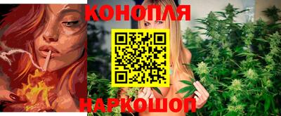крисы Малоярославец
