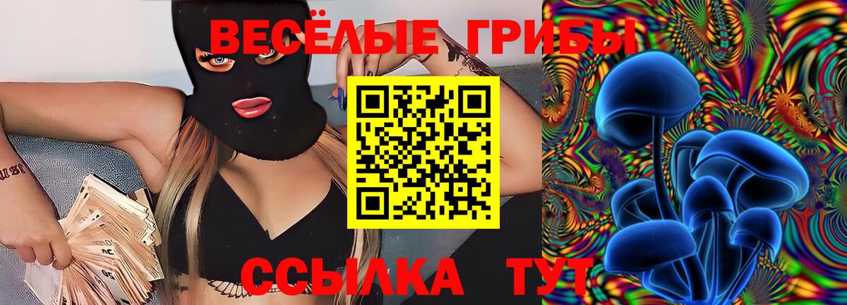 Галлюциногенные грибы Magic Shrooms Великий Новгород