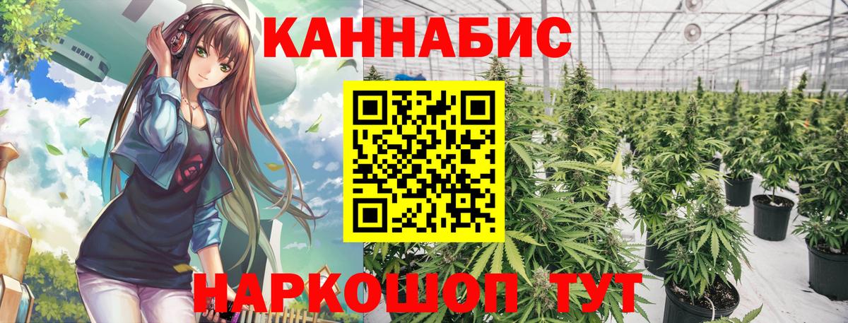 Каннабис Ganja Великий Новгород